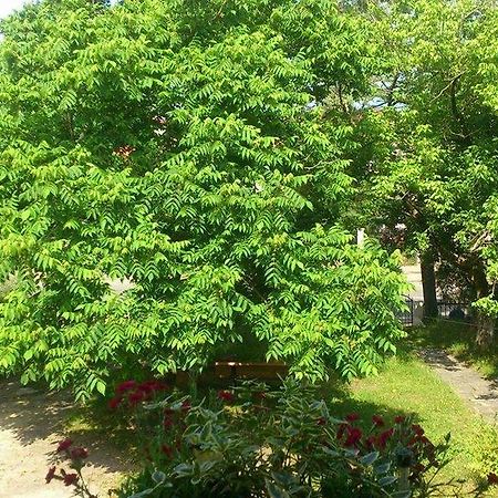 Marinas Guesthouse Кобулети Екстериор снимка